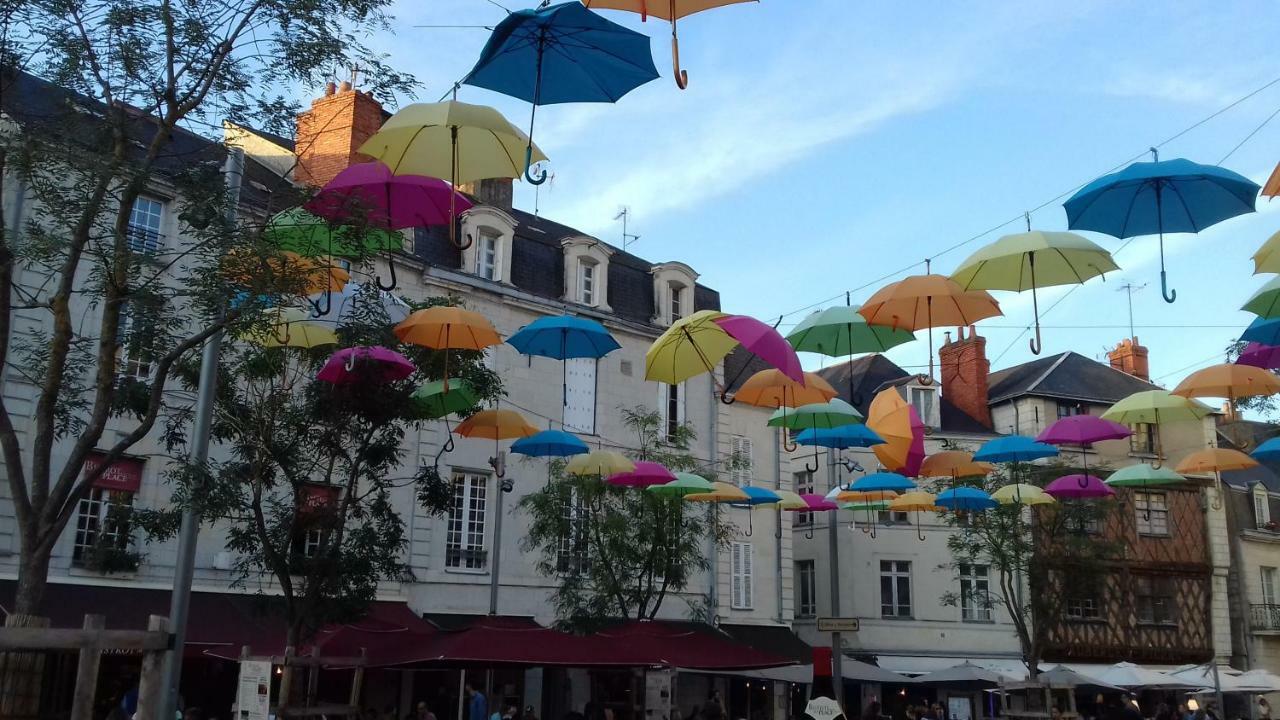 Saumur Loire Chambres Et Gite Vernantes Ngoại thất bức ảnh